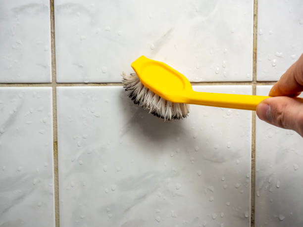 Best Mold Removal Near Me  in Pollock Pines, CA