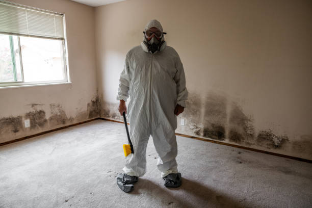 Best Toxic Mold Removal  in Pollock Pines, CA